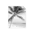 Picture of Palm Trees II _GroupedProduct_Rectangle_Portrait_Photography _GroupedProduct_Rectangle_Portrait_Unframed_Print_Only_