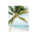 Picture of Palm Trees II _GroupedProduct_Rectangle_Portrait_Photography _GroupedProduct_Rectangle_Portrait_Unframed_Print_Only_
