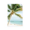 Picture of Palm Trees II _GroupedProduct_Rectangle_Portrait_Photography _GroupedProduct_Rectangle_Portrait_Unframed_Print_Only_