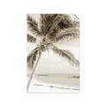 Picture of Palm Trees II _GroupedProduct_Rectangle_Portrait_Photography _GroupedProduct_Rectangle_Portrait_Unframed_Print_Only_