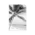 Picture of Palm Trees II _GroupedProduct_Rectangle_Portrait_Photography _GroupedProduct_Rectangle_Portrait_Unframed_Print_Only_