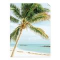 Picture of Palm Trees II _GroupedProduct_Rectangle_Portrait_Photography _GroupedProduct_Rectangle_Portrait_Unframed_Print_Only_