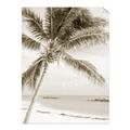 Picture of Palm Trees II _GroupedProduct_Rectangle_Portrait_Photography _GroupedProduct_Rectangle_Portrait_Unframed_Print_Only_