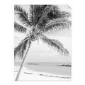 Picture of Palm Trees II _GroupedProduct_Rectangle_Portrait_Photography _GroupedProduct_Rectangle_Portrait_Unframed_Print_Only_