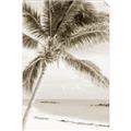 Picture of Palm Trees II _GroupedProduct_Rectangle_Portrait_Photography _GroupedProduct_Rectangle_Portrait_Unframed_Print_Only_