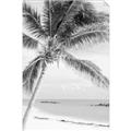 Picture of Palm Trees II _GroupedProduct_Rectangle_Portrait_Photography _GroupedProduct_Rectangle_Portrait_Unframed_Print_Only_