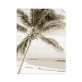 Picture of Palm Trees II _GroupedProduct_Rectangle_Portrait_Photography _GroupedProduct_Rectangle_Portrait_Unframed_Print_Only_