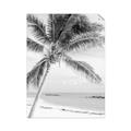 Picture of Palm Trees II _GroupedProduct_Rectangle_Portrait_Photography _GroupedProduct_Rectangle_Portrait_Unframed_Print_Only_