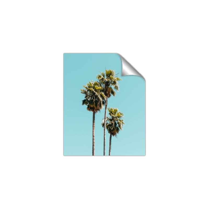 Picture of Palm Trees III _GroupedProduct_Rectangle_Portrait_Photography _GroupedProduct_Rectangle_Portrait_Unframed_Print_Only_