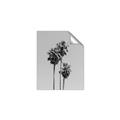 Picture of Palm Trees III _GroupedProduct_Rectangle_Portrait_Photography _GroupedProduct_Rectangle_Portrait_Unframed_Print_Only_