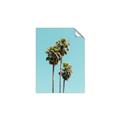 Picture of Palm Trees III _GroupedProduct_Rectangle_Portrait_Photography _GroupedProduct_Rectangle_Portrait_Unframed_Print_Only_