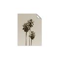 Picture of Palm Trees III _GroupedProduct_Rectangle_Portrait_Photography _GroupedProduct_Rectangle_Portrait_Unframed_Print_Only_