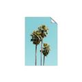 Picture of Palm Trees III _GroupedProduct_Rectangle_Portrait_Photography _GroupedProduct_Rectangle_Portrait_Unframed_Print_Only_