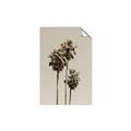 Picture of Palm Trees III _GroupedProduct_Rectangle_Portrait_Photography _GroupedProduct_Rectangle_Portrait_Unframed_Print_Only_