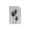 Picture of Palm Trees III _GroupedProduct_Rectangle_Portrait_Photography _GroupedProduct_Rectangle_Portrait_Unframed_Print_Only_