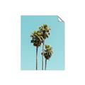 Picture of Palm Trees III _GroupedProduct_Rectangle_Portrait_Photography _GroupedProduct_Rectangle_Portrait_Unframed_Print_Only_