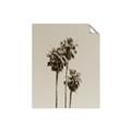 Picture of Palm Trees III _GroupedProduct_Rectangle_Portrait_Photography _GroupedProduct_Rectangle_Portrait_Unframed_Print_Only_
