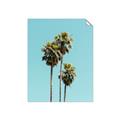 Picture of Palm Trees III _GroupedProduct_Rectangle_Portrait_Photography _GroupedProduct_Rectangle_Portrait_Unframed_Print_Only_