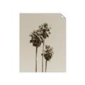 Picture of Palm Trees III _GroupedProduct_Rectangle_Portrait_Photography _GroupedProduct_Rectangle_Portrait_Unframed_Print_Only_