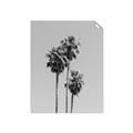 Picture of Palm Trees III _GroupedProduct_Rectangle_Portrait_Photography _GroupedProduct_Rectangle_Portrait_Unframed_Print_Only_