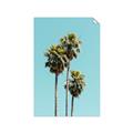 Picture of Palm Trees III _GroupedProduct_Rectangle_Portrait_Photography _GroupedProduct_Rectangle_Portrait_Unframed_Print_Only_