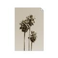 Picture of Palm Trees III _GroupedProduct_Rectangle_Portrait_Photography _GroupedProduct_Rectangle_Portrait_Unframed_Print_Only_