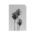 Picture of Palm Trees III _GroupedProduct_Rectangle_Portrait_Photography _GroupedProduct_Rectangle_Portrait_Unframed_Print_Only_