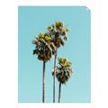 Picture of Palm Trees III _GroupedProduct_Rectangle_Portrait_Photography _GroupedProduct_Rectangle_Portrait_Unframed_Print_Only_