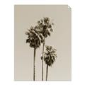 Picture of Palm Trees III _GroupedProduct_Rectangle_Portrait_Photography _GroupedProduct_Rectangle_Portrait_Unframed_Print_Only_