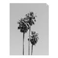 Picture of Palm Trees III _GroupedProduct_Rectangle_Portrait_Photography _GroupedProduct_Rectangle_Portrait_Unframed_Print_Only_