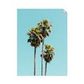 Picture of Palm Trees III _GroupedProduct_Rectangle_Portrait_Photography _GroupedProduct_Rectangle_Portrait_Unframed_Print_Only_