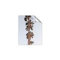 Picture of Palm Trees IV _GroupedProduct_Rectangle_Portrait_Photography _GroupedProduct_Rectangle_Portrait_Unframed_Print_Only_