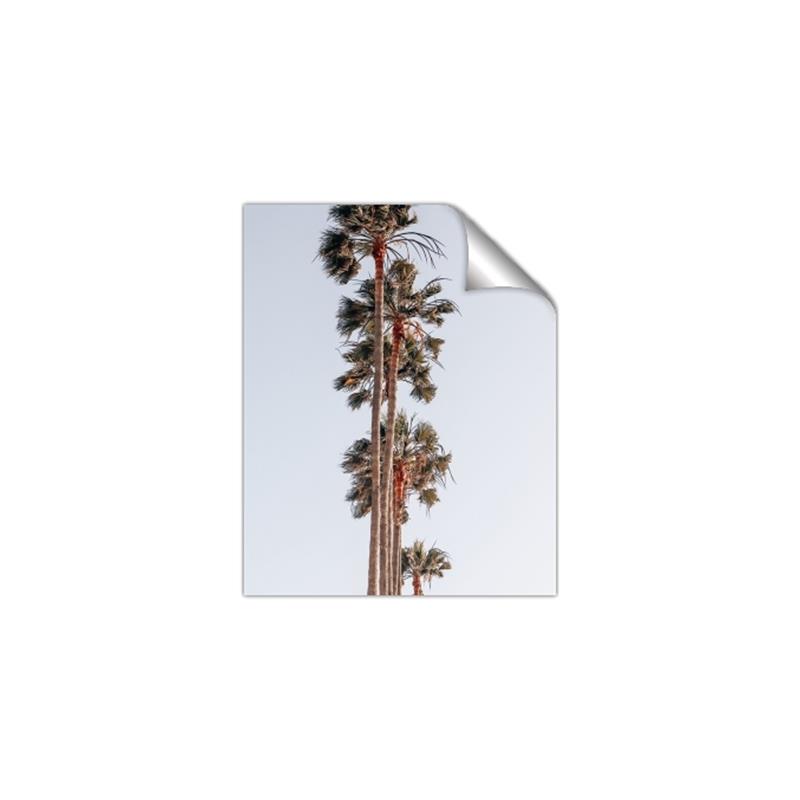 Picture of Palm Trees IV _GroupedProduct_Rectangle_Portrait_Photography _GroupedProduct_Rectangle_Portrait_Unframed_Print_Only_