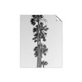 Picture of Palm Trees IV _GroupedProduct_Rectangle_Portrait_Photography _GroupedProduct_Rectangle_Portrait_Unframed_Print_Only_