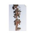 Picture of Palm Trees IV _GroupedProduct_Rectangle_Portrait_Photography _GroupedProduct_Rectangle_Portrait_Unframed_Print_Only_