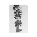 Picture of Palm Trees IV _GroupedProduct_Rectangle_Portrait_Photography _GroupedProduct_Rectangle_Portrait_Unframed_Print_Only_