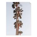 Picture of Palm Trees IV _GroupedProduct_Rectangle_Portrait_Photography _GroupedProduct_Rectangle_Portrait_Unframed_Print_Only_
