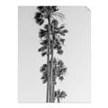 Picture of Palm Trees IV _GroupedProduct_Rectangle_Portrait_Photography _GroupedProduct_Rectangle_Portrait_Unframed_Print_Only_