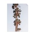 Picture of Palm Trees IV _GroupedProduct_Rectangle_Portrait_Photography _GroupedProduct_Rectangle_Portrait_Unframed_Print_Only_