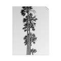 Picture of Palm Trees IV _GroupedProduct_Rectangle_Portrait_Photography _GroupedProduct_Rectangle_Portrait_Unframed_Print_Only_