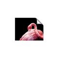 Picture of Pink in Contrast  _GroupedProduct_Rectangle_Landscape_Photography _GroupedProduct_Rectangle_Landscape_Unframed_Print_Only_