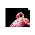 Picture of Pink in Contrast  _GroupedProduct_Rectangle_Landscape_Photography _GroupedProduct_Rectangle_Landscape_Unframed_Print_Only_
