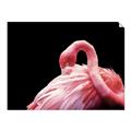 Picture of Pink in Contrast  _GroupedProduct_Rectangle_Landscape_Photography _GroupedProduct_Rectangle_Landscape_Unframed_Print_Only_