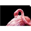 Picture of Pink in Contrast  _GroupedProduct_Rectangle_Landscape_Photography _GroupedProduct_Rectangle_Landscape_Unframed_Print_Only_