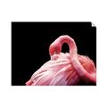 Picture of Pink in Contrast  _GroupedProduct_Rectangle_Landscape_Photography _GroupedProduct_Rectangle_Landscape_Unframed_Print_Only_