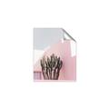 Picture of Pink Cactus II _GroupedProduct_Rectangle_Portrait_Photography _GroupedProduct_Rectangle_Portrait_Unframed_Print_Only_