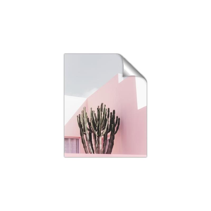 Picture of Pink Cactus II _GroupedProduct_Rectangle_Portrait_Photography _GroupedProduct_Rectangle_Portrait_Unframed_Print_Only_
