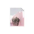 Picture of Pink Cactus II _GroupedProduct_Rectangle_Portrait_Photography _GroupedProduct_Rectangle_Portrait_Unframed_Print_Only_