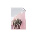 Picture of Pink Cactus II _GroupedProduct_Rectangle_Portrait_Photography _GroupedProduct_Rectangle_Portrait_Unframed_Print_Only_