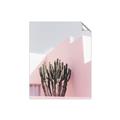 Picture of Pink Cactus II _GroupedProduct_Rectangle_Portrait_Photography _GroupedProduct_Rectangle_Portrait_Unframed_Print_Only_